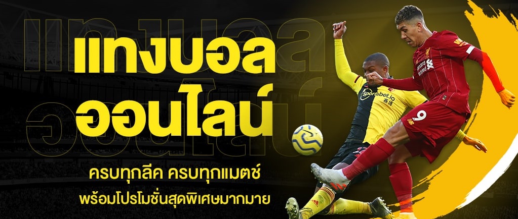 พนันบอลsoccersuck